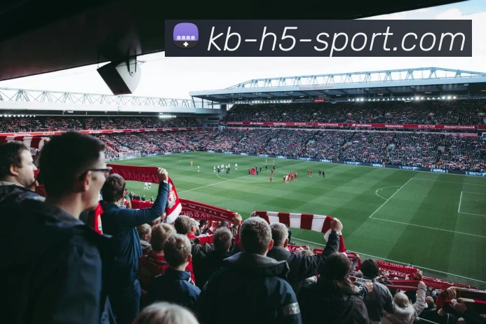 App Interface Preview