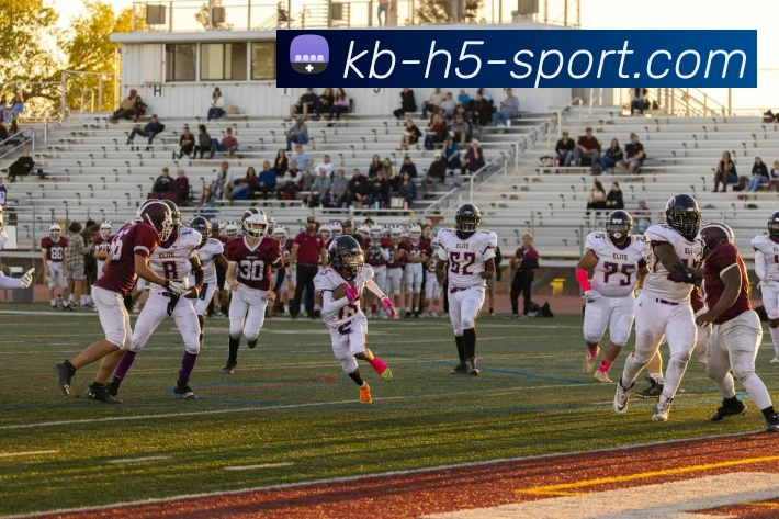 KB体育APP 封面图